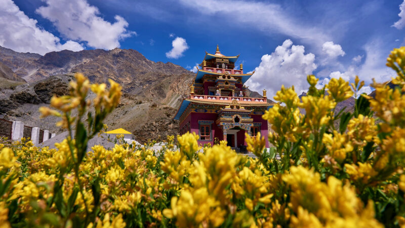 Gyu Monastery Pics