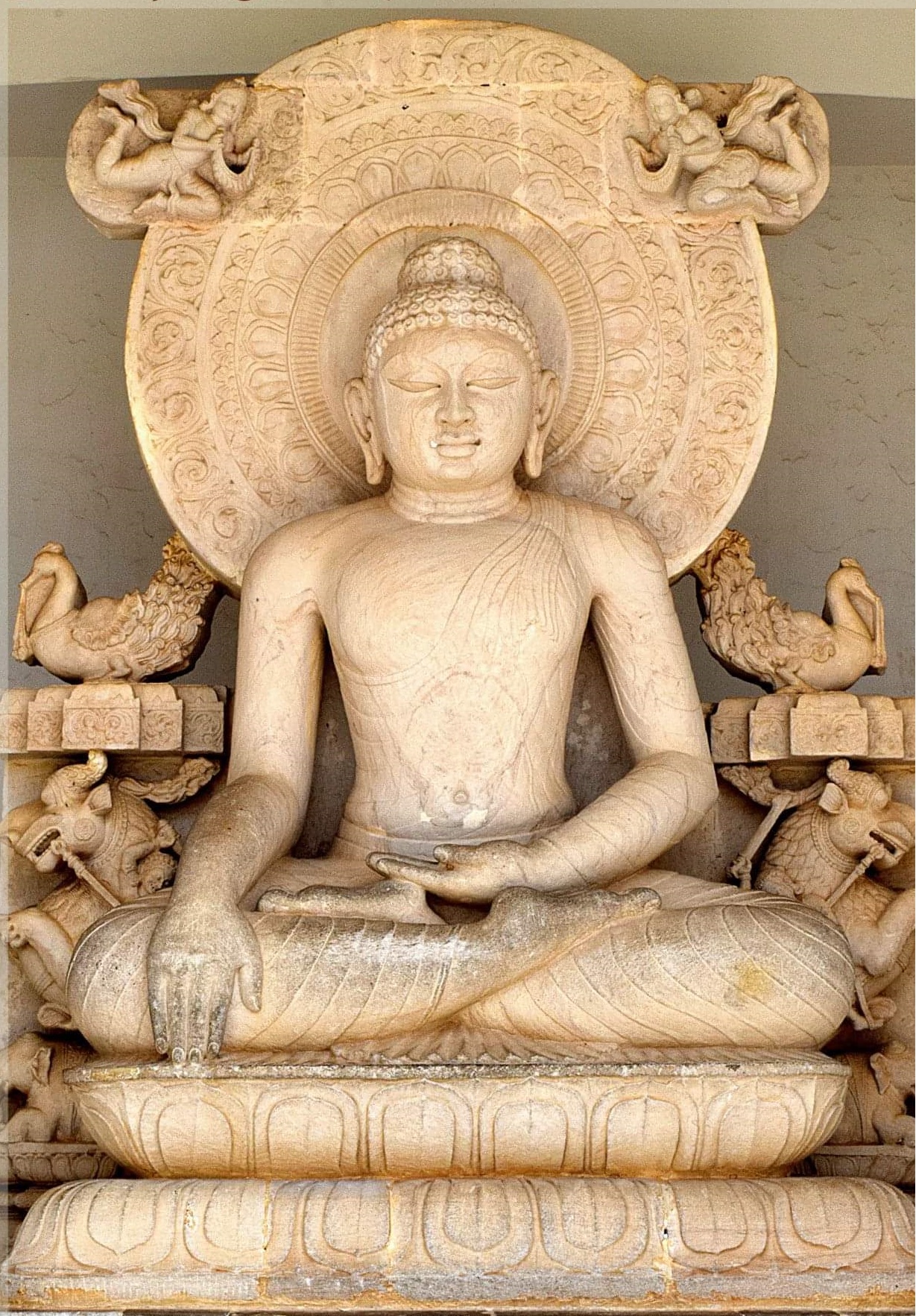 Dhauli Shanti Stupa14