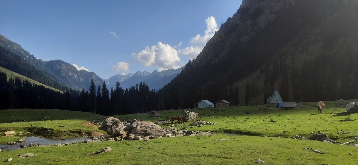 Tarshar Marshar Lake trek _Kashmir Valley_Pictures_6
