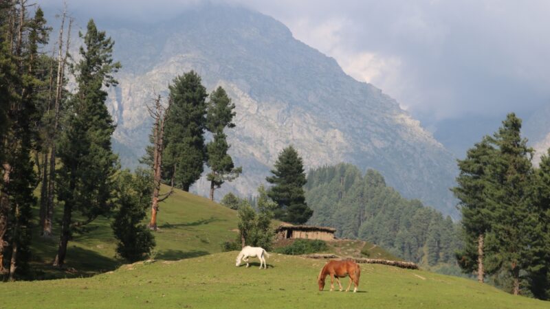 Best Places of Visit In & Around Pahalgam | Kashmir Valley